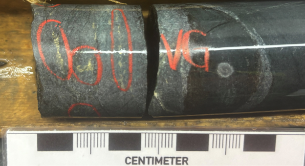 Figure 2_vg