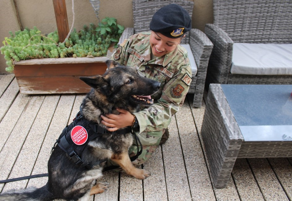 Military Working Dog Reunion