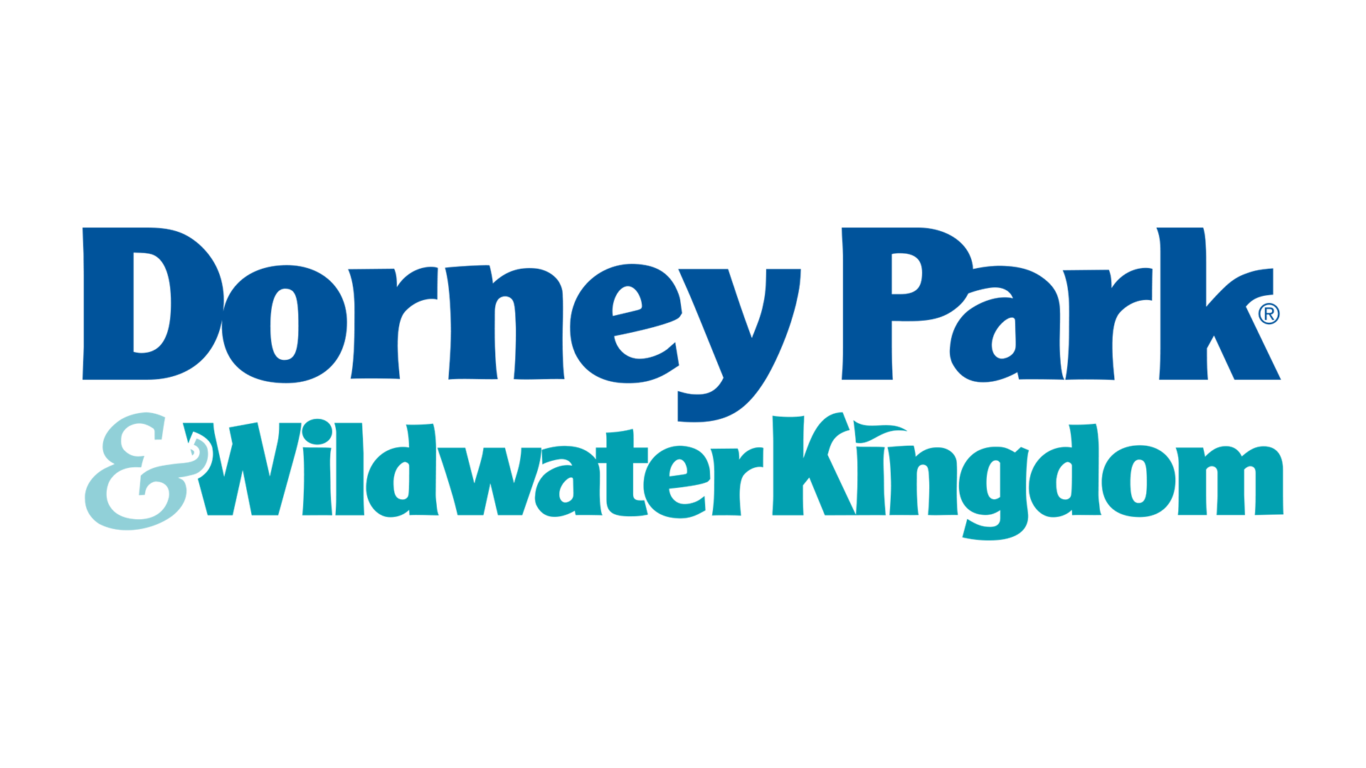 What you need to know about the new 'dive roller coaster coming to Dorney  Park in 2024