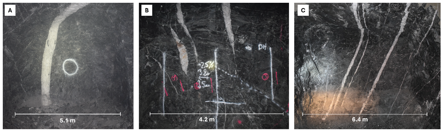 Typical auriferous quartz veining observed at Björkdal. (A) Main Zone. (B) Lake Zone. (C) Lake Zone Above.
