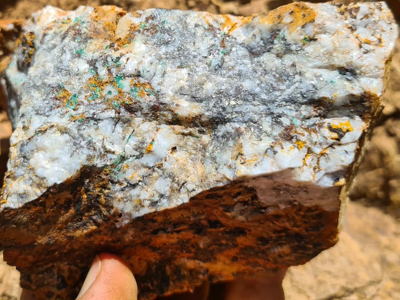 Quartz-vein-hosted mineralization observed at Tamdghoust.: Quartz-vein-hosted mineralization observed at Tamdghoust.