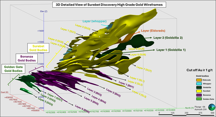 Infographic 5