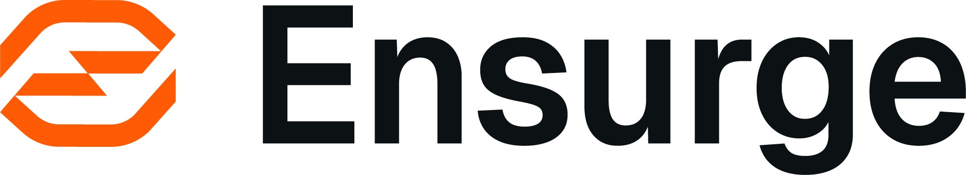 Ensurge logo (2).jpg