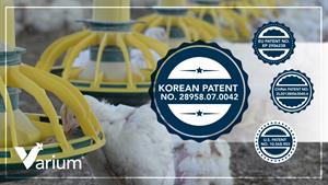 Korean-Patent-(2x)