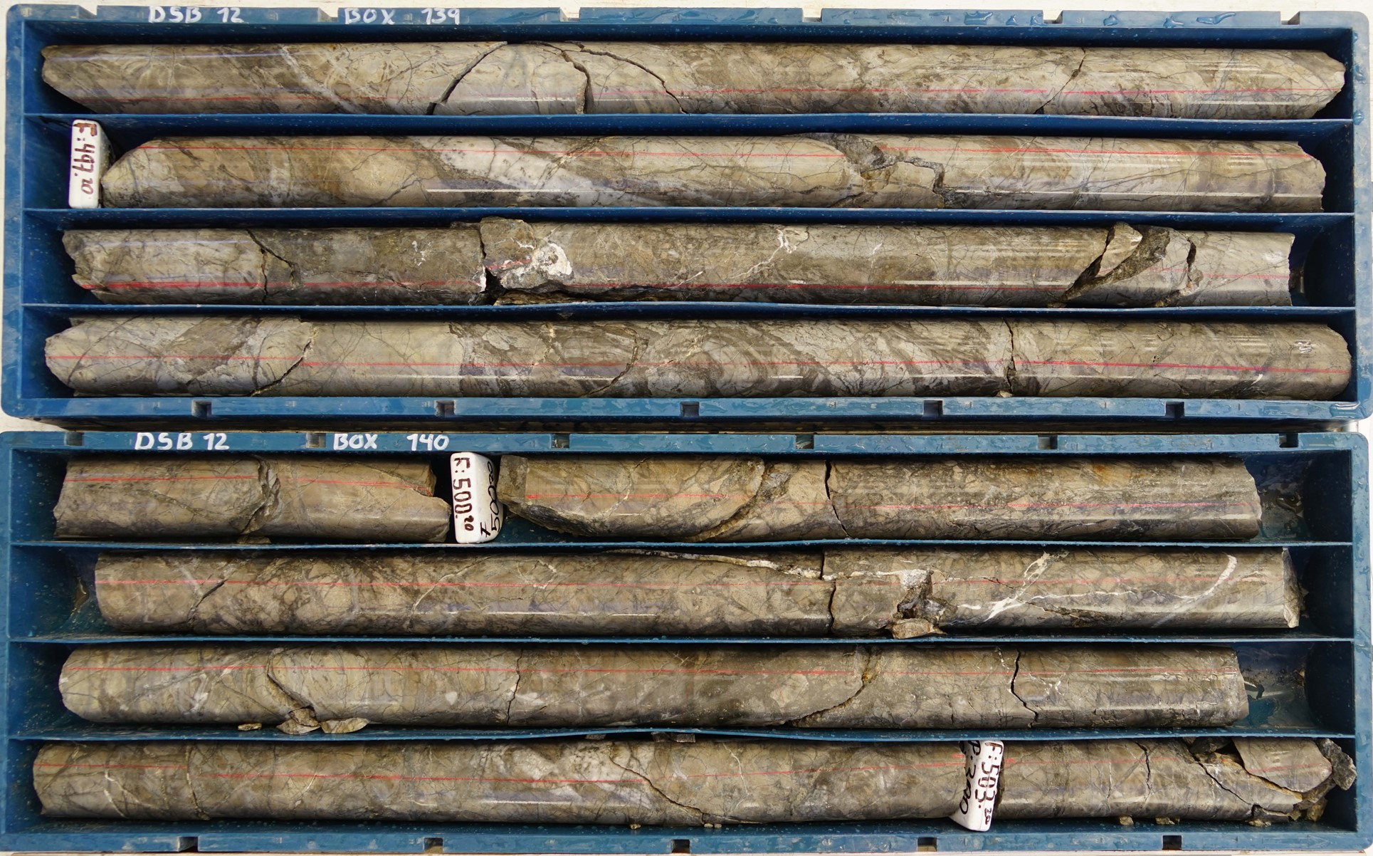Figure 3a: Picture of Diamond Drill Core Samples from Hole DSB-12