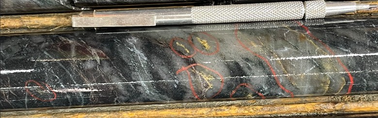 FIGURE 2. Visible gold showing in hole MM26D-13-4773-002 at 93m downhole depth. image