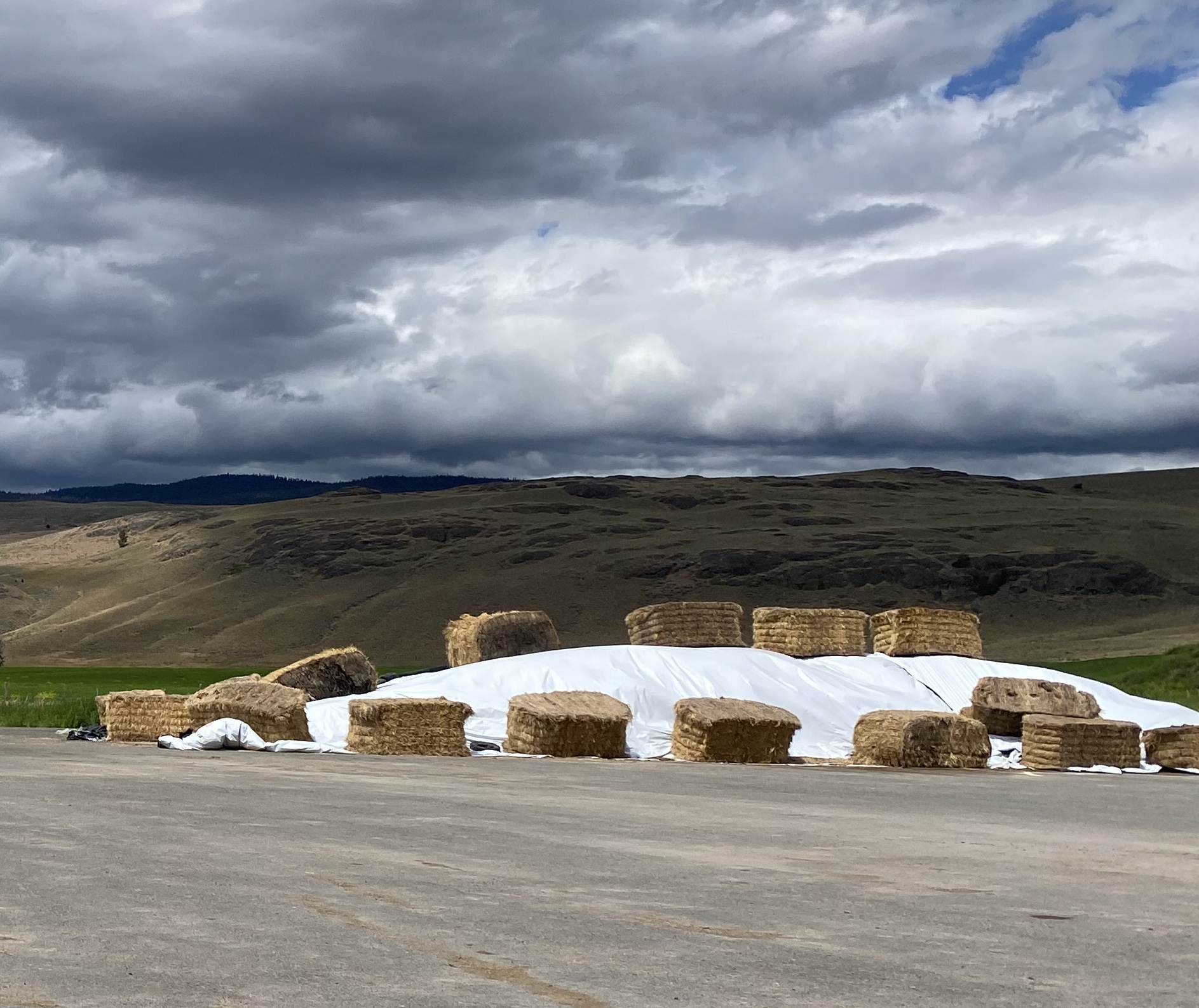 A wide shot of a large, silage plastic in use in a field. This visual represents the agricultural plastic (silage cover) being collected for recycling