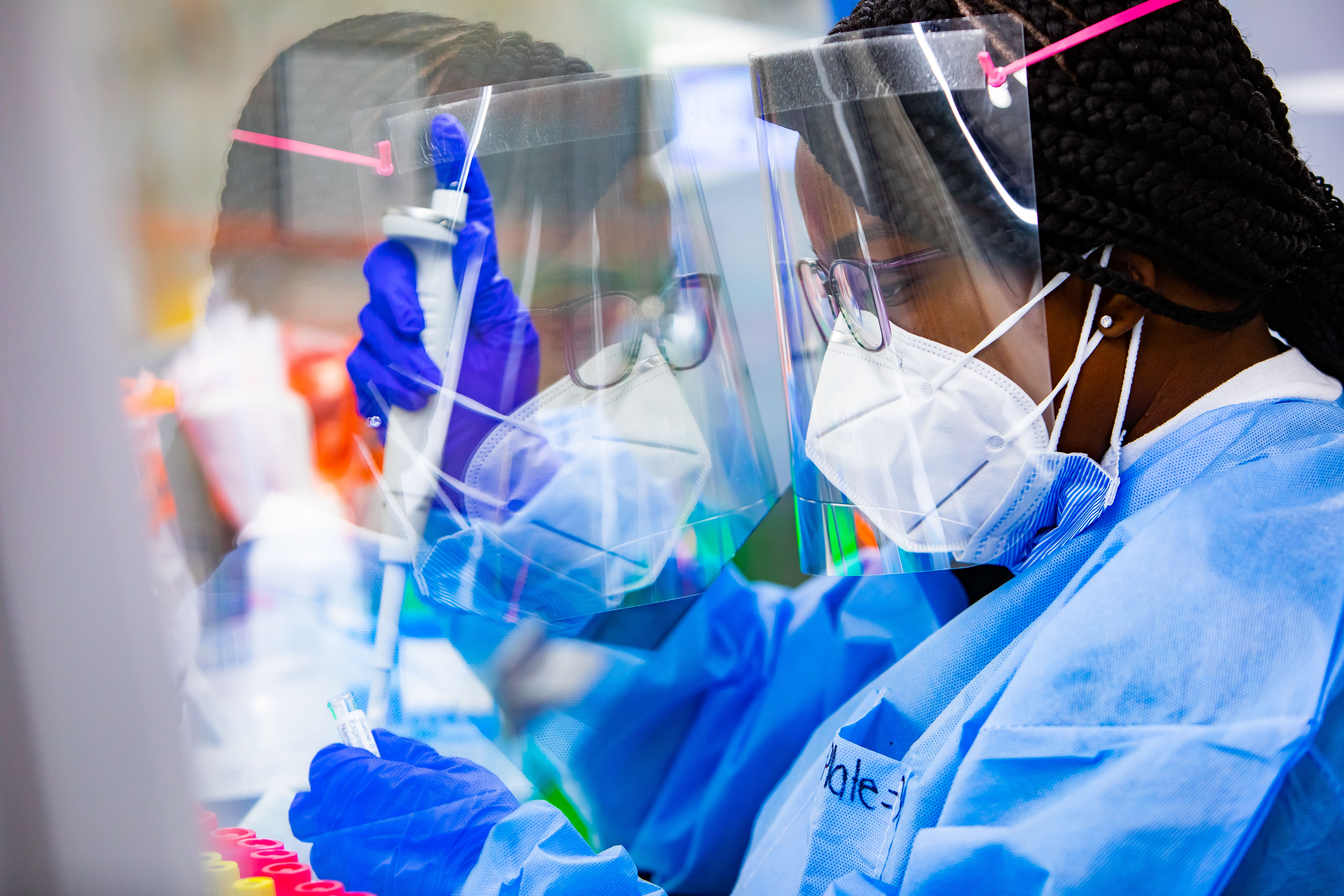 MAKO Medical team member processing testing samples in the Henderson, NC laboratory.