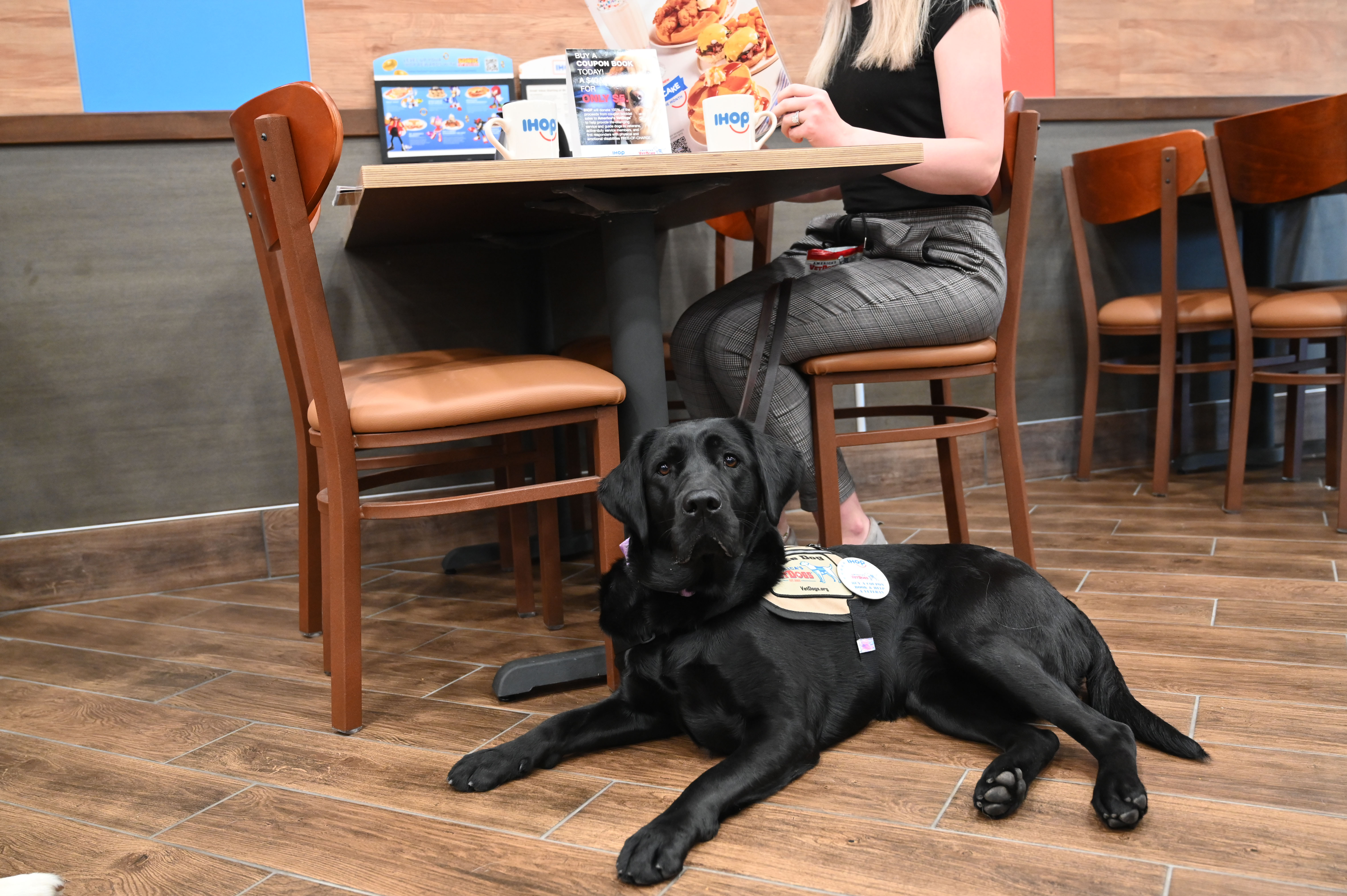IHOP Partners with America's VetDogs for Month of May