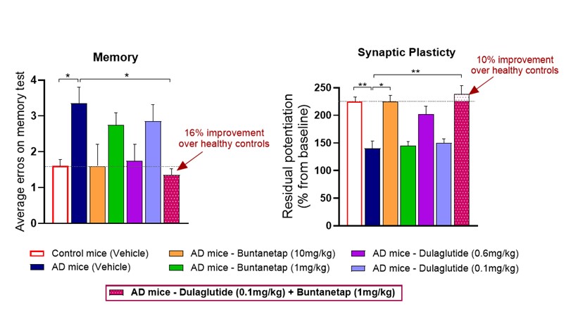 Combination of dulaglutide (Trulicity®) and buntanetap improves memory and synaptic plasticity in AD mice (*p<0.05, **p<0.01).