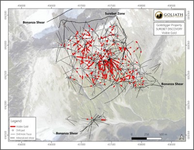 Figure 2 - Plan view of VG-NE distribution