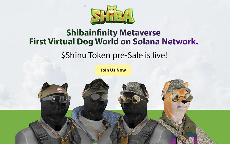 ShibInfinity Generates 10 Thousand Unique Shiba NFTs 1