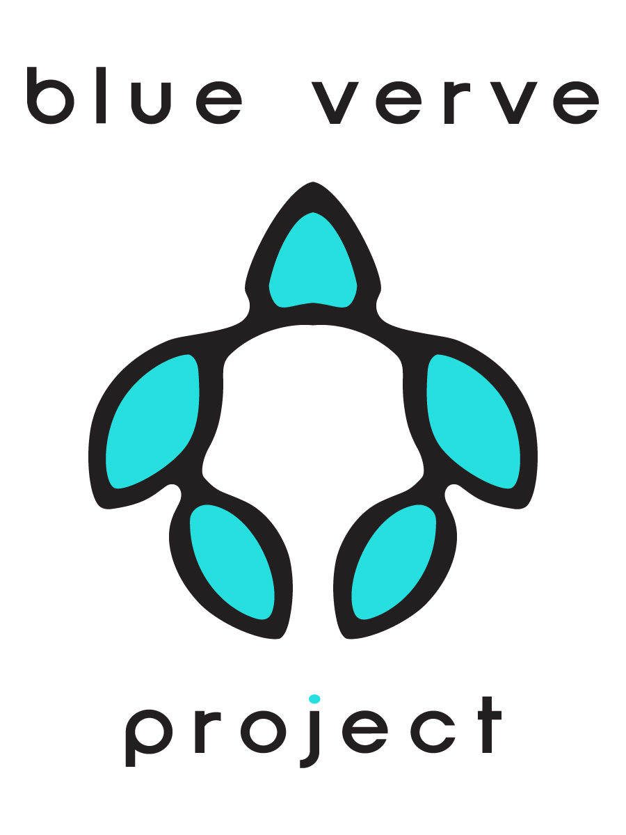 Blue Verve Project.jpg