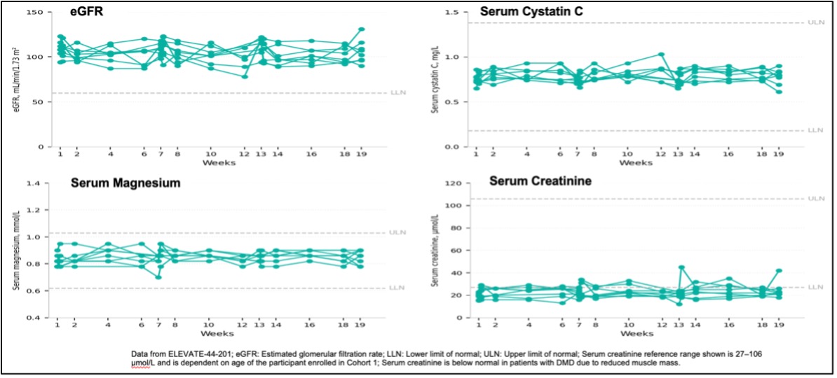 Table 3 showing that renal markers were within normal range and comparable to placebo