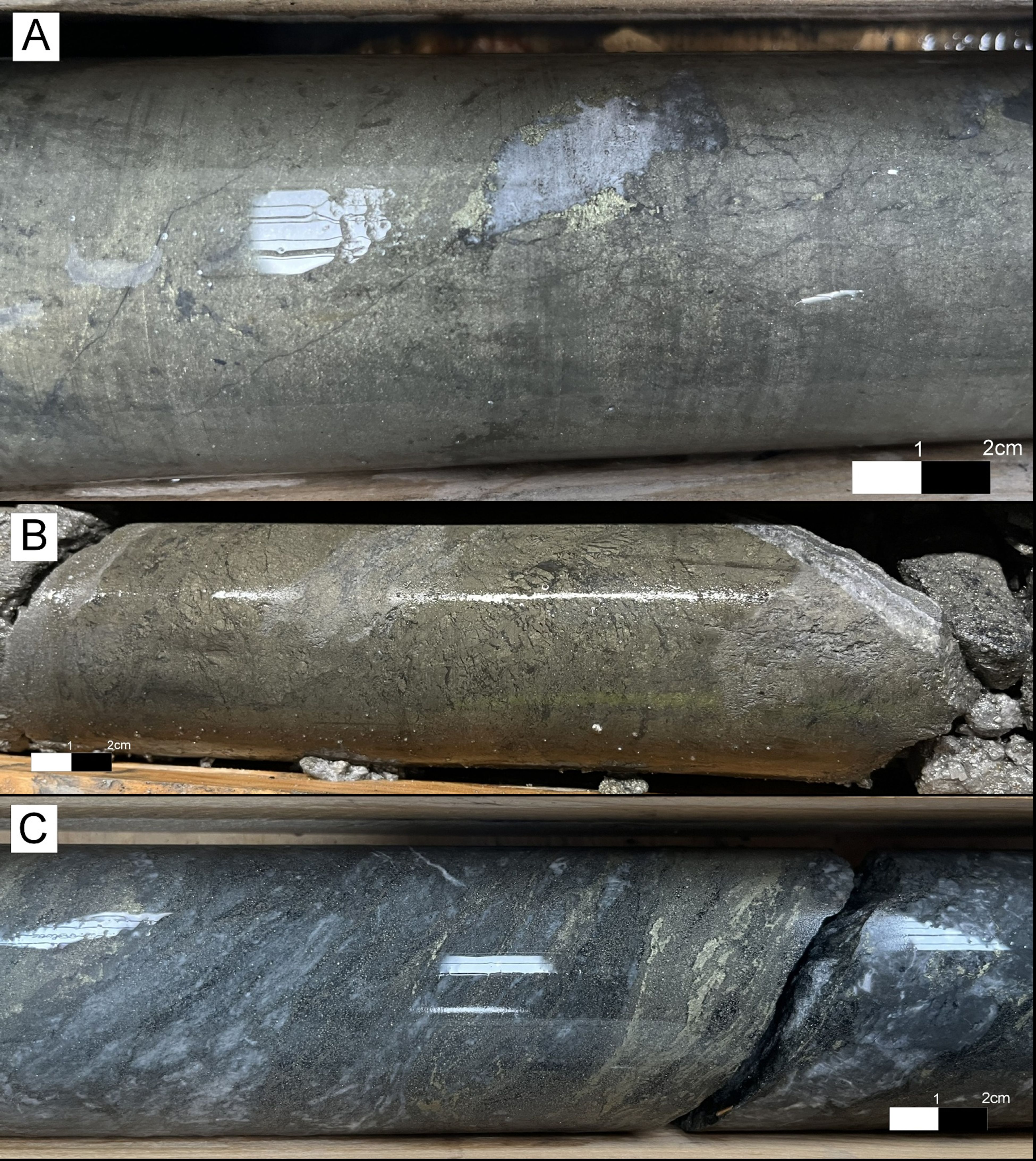 Figure 5 image