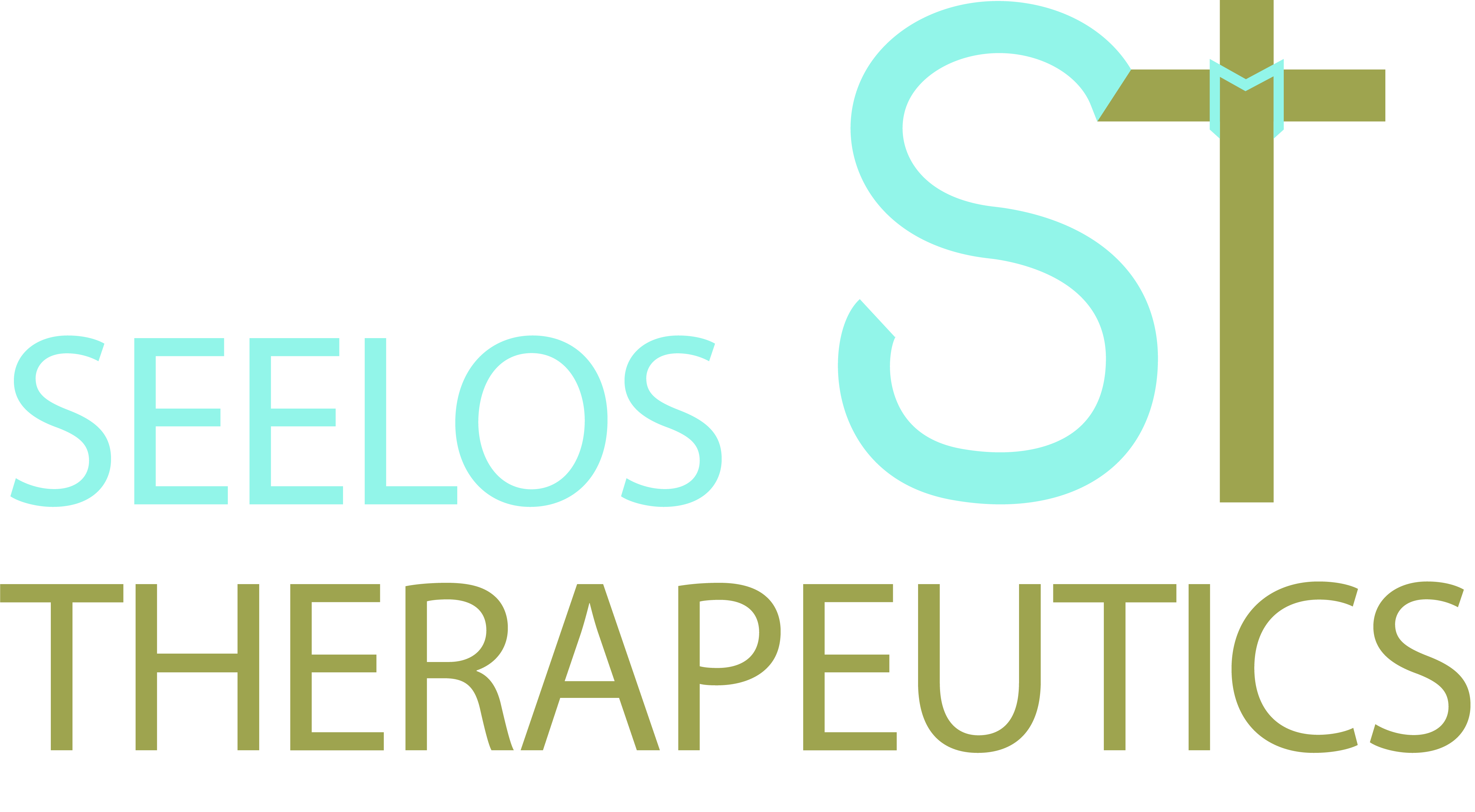 Seelos_full logo and icon color.jpg