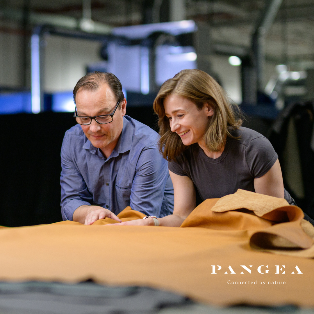 Pangea Verita Inspection