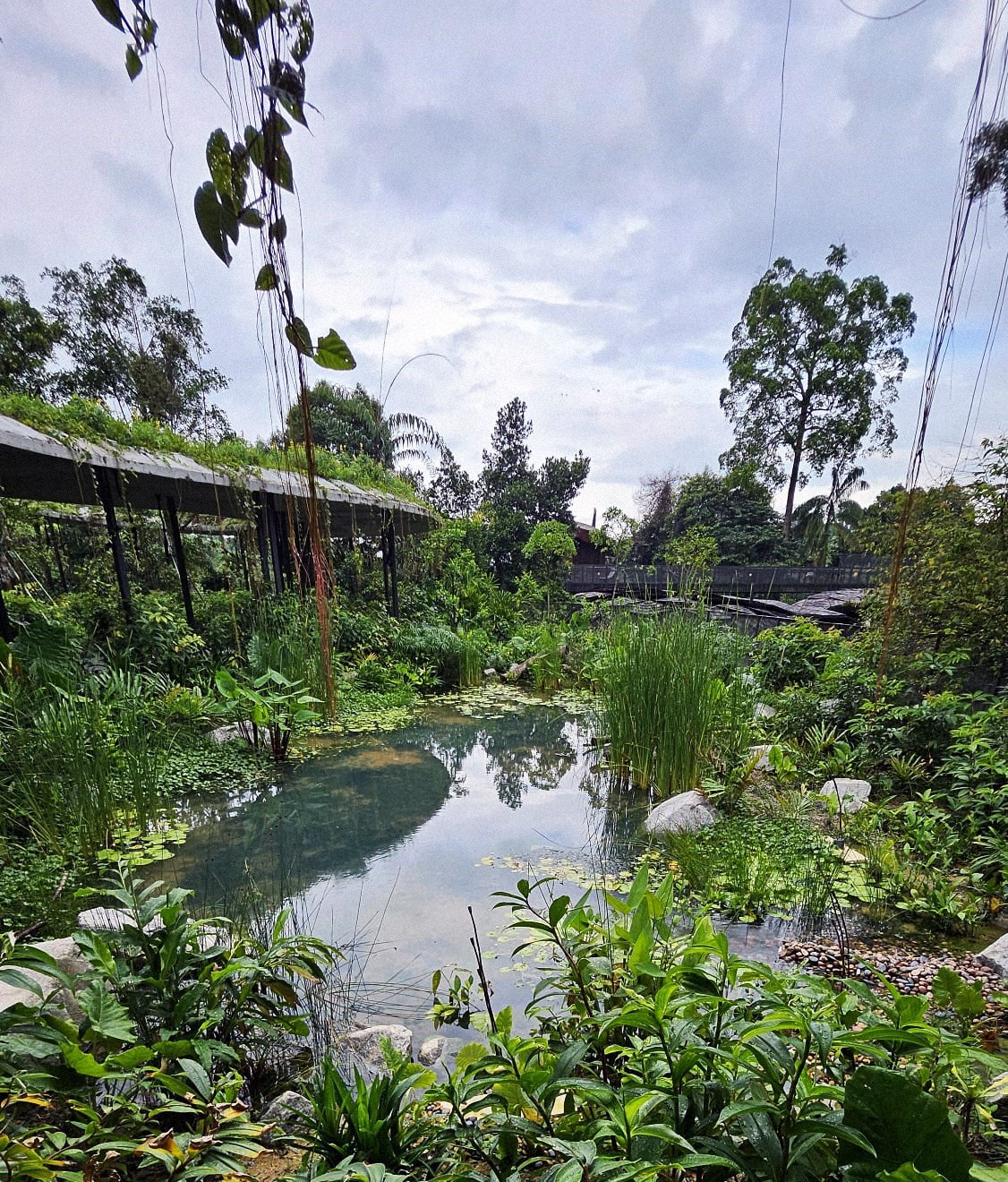 Picture - Singapore’s Green Imprint: GEBE’s Iconic Landscapes