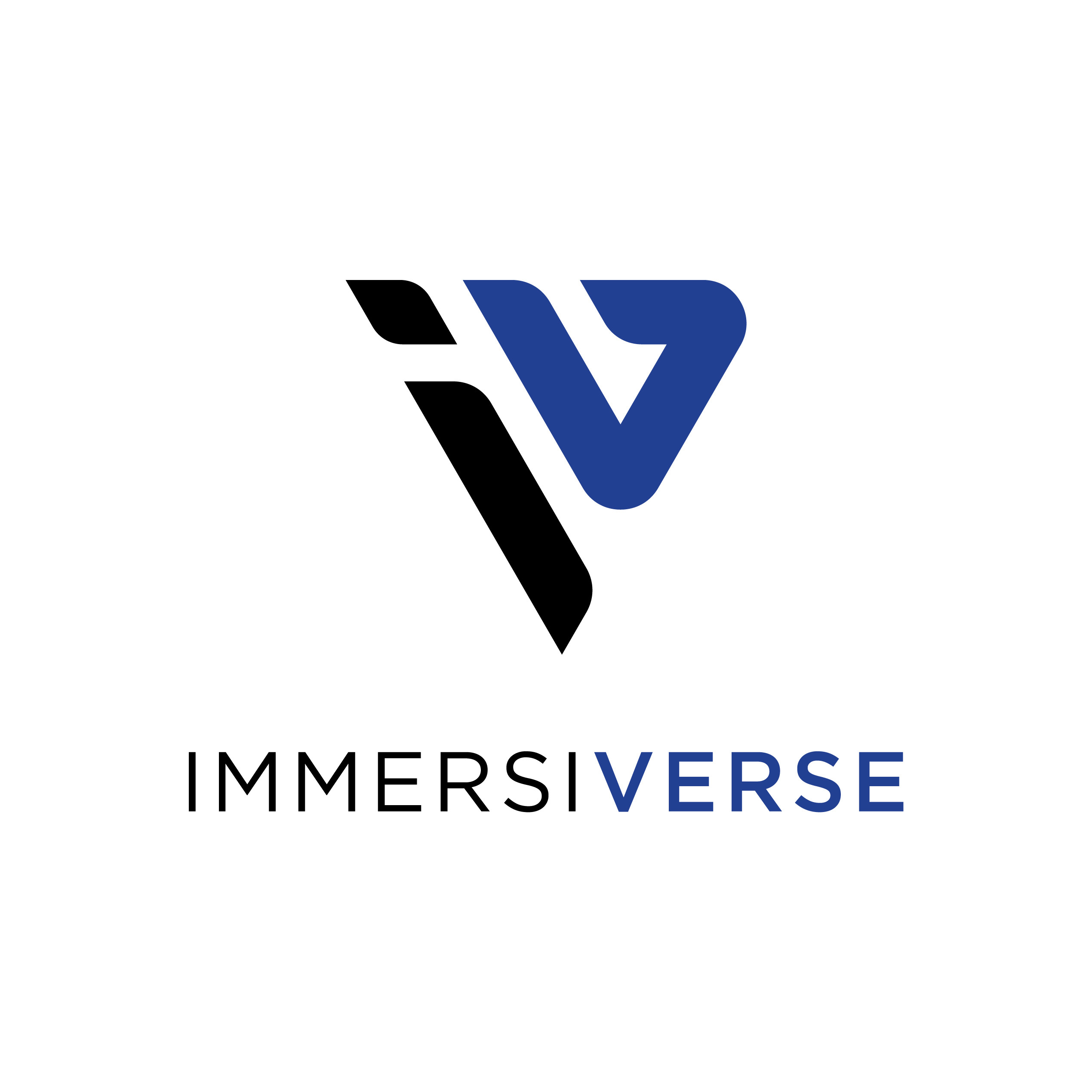ImmersiVerse-01.jpg