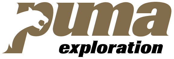 PUMA BLK-GOLD.png