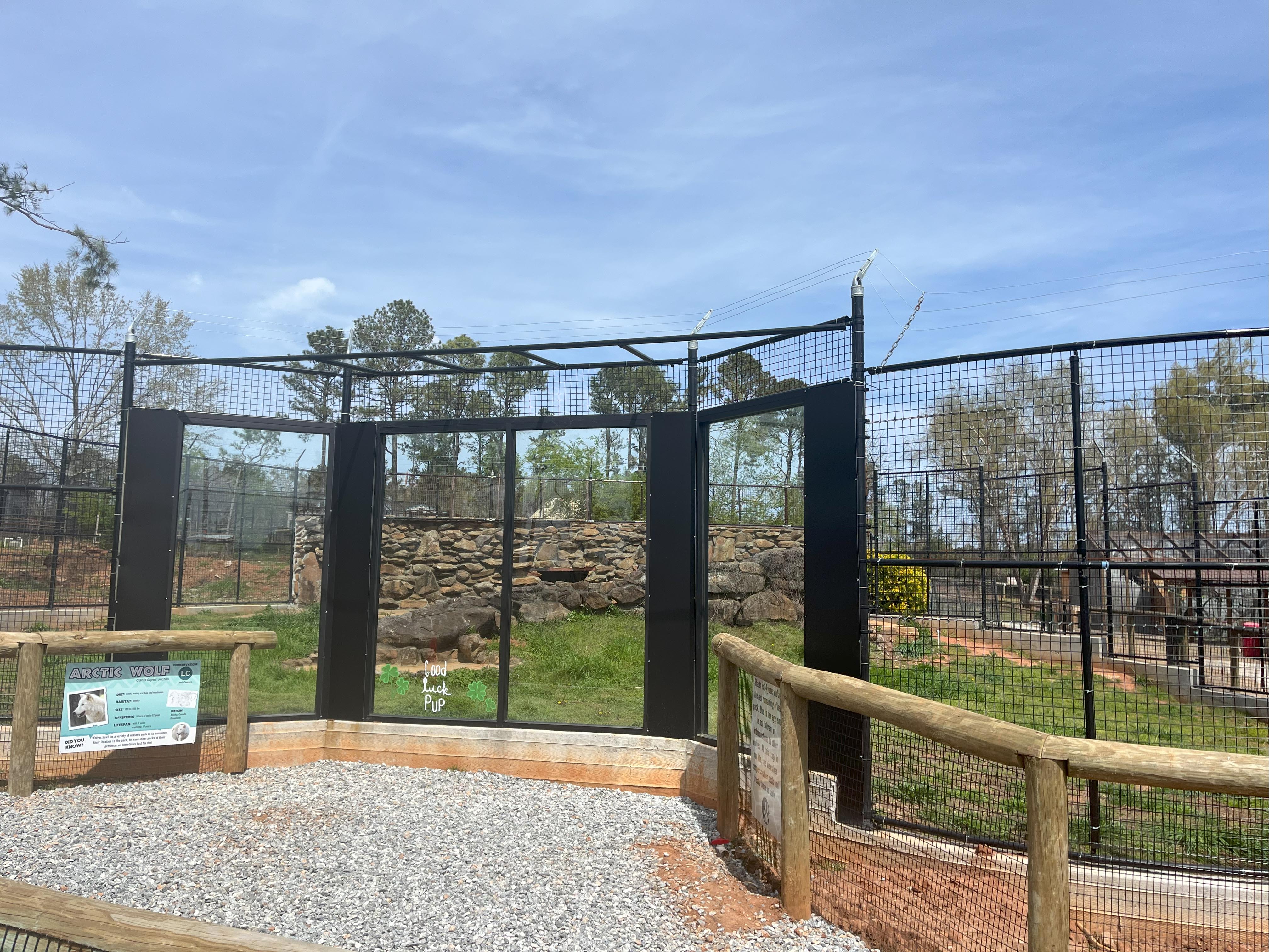 New Arctic Wolf Enclosure