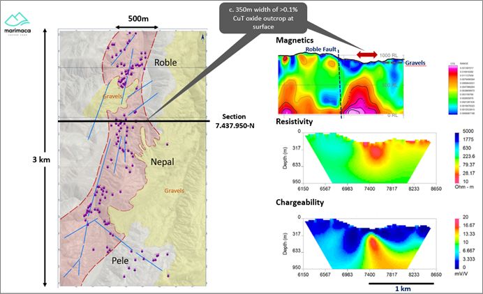 Figure 3:  IP and Magnetic Section 7.437.950-N