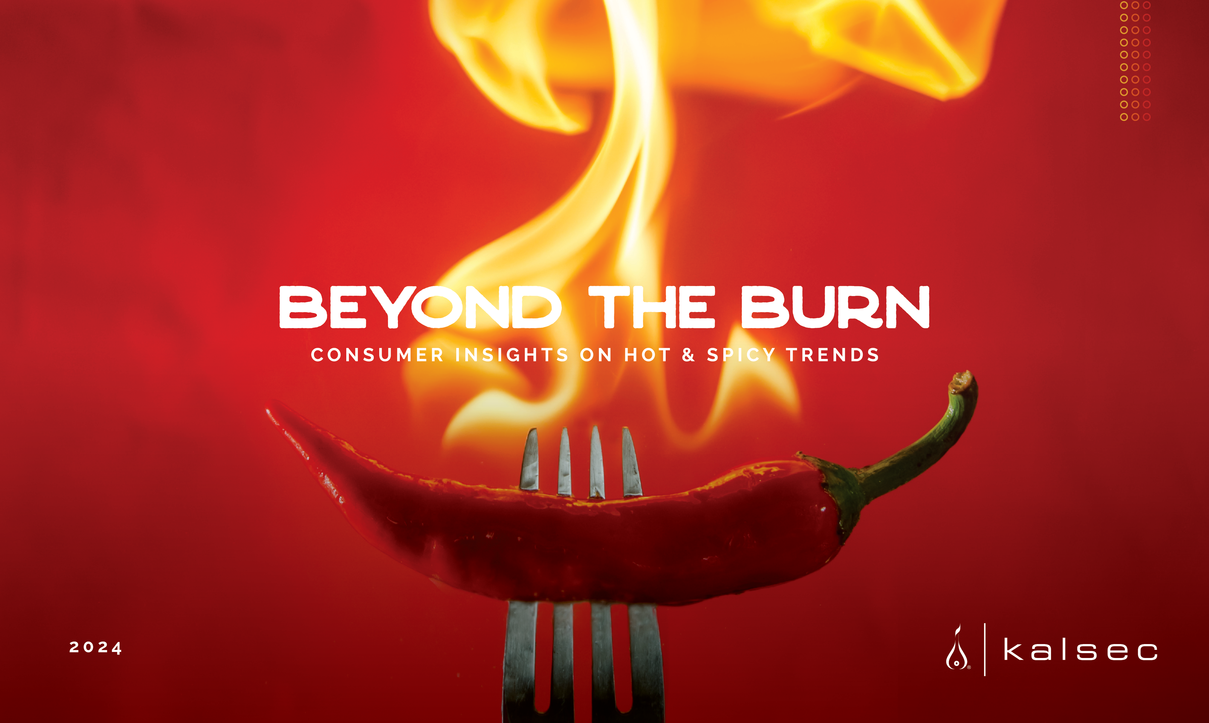 Beyond the Burn_cover image