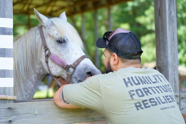 Spending time with horses during Warrior PATHH helps veterans learn to regulate their emotions. 