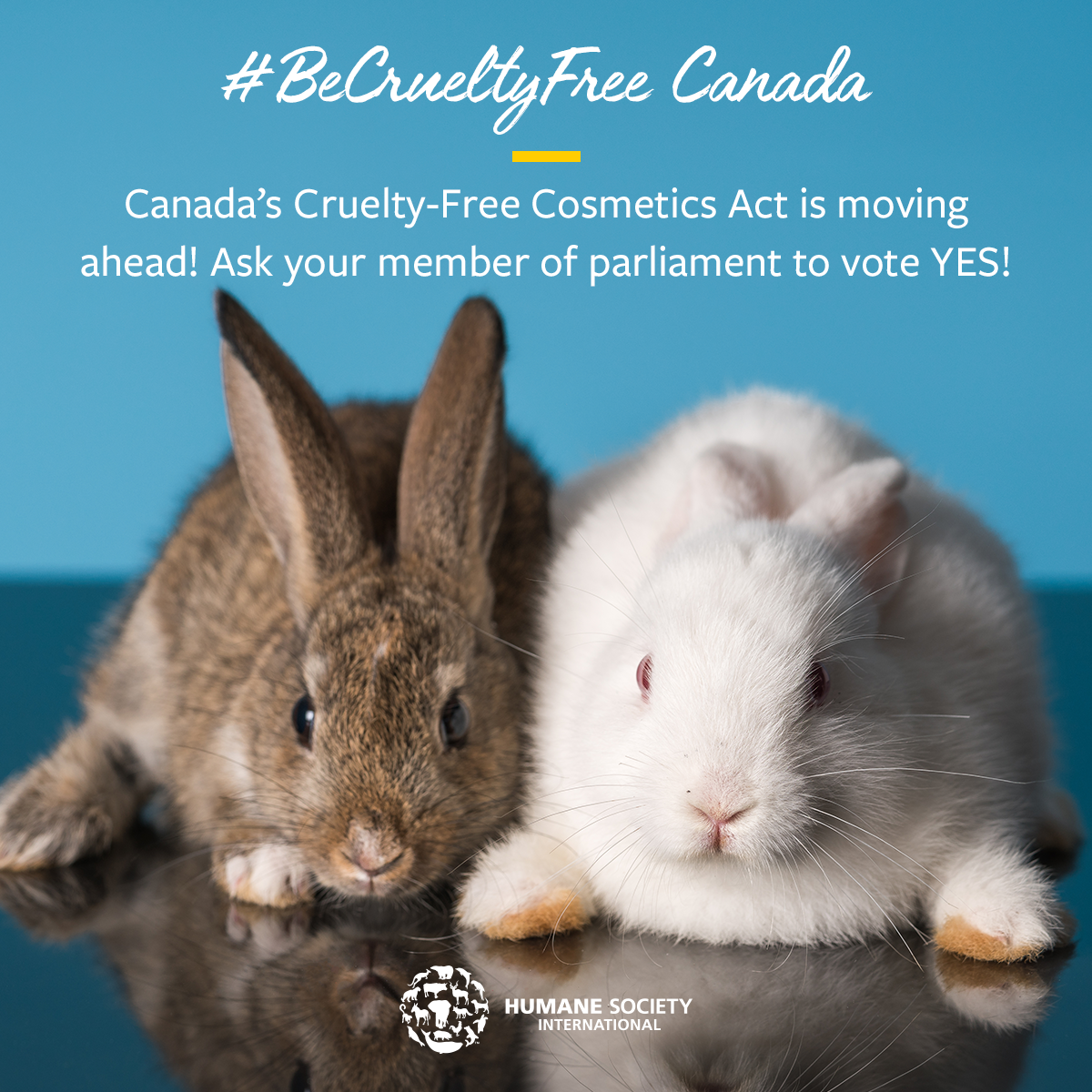 sharegraphic-bcf-Cruelty-Free-Cosmetics-Act-launches