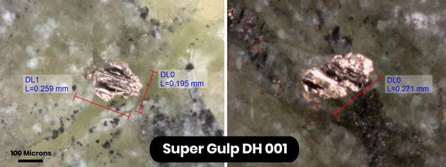 Microscope photo images showing individual grains of awaruite grains ranging from ~200 to 250 microns in size from Super Gulp DH001.