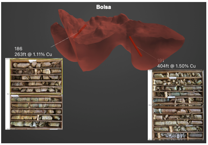 Figure 4: Bolsa Drill Core