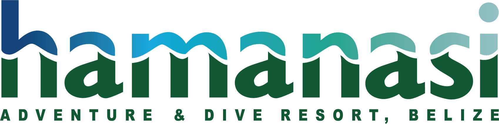 Hamanasi Adventure & Dive Resort Logo
