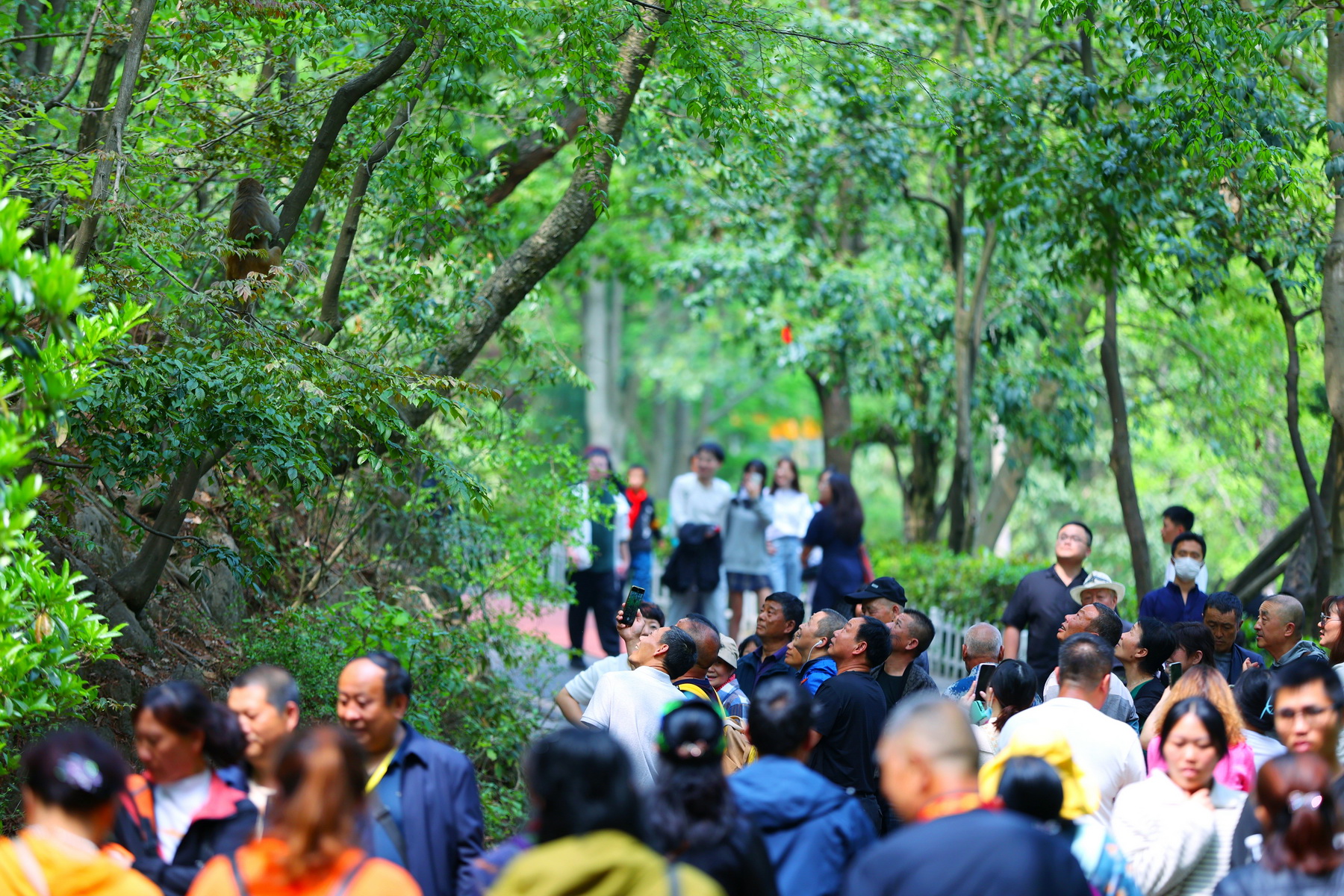 Guizhou