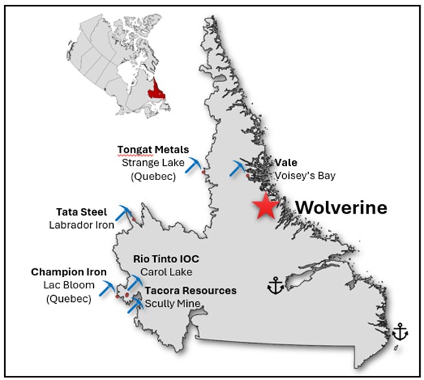 Figure 1 image