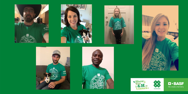 BASF Canada Agrcultural Solutions employees participating in 2020 Show Your 4-H Colours day.