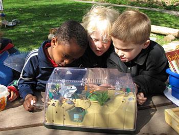 ChildCare Education Institute Offers No-Cost Online Course on Outdoor STEAM Activities and Project Based Learning