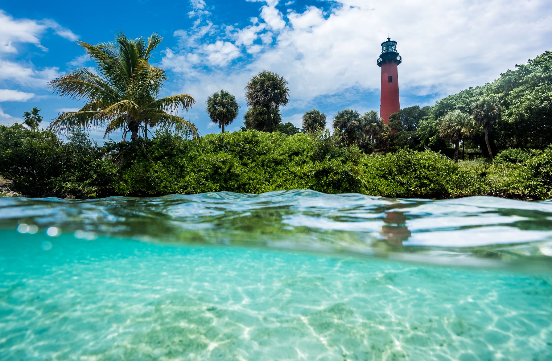 Take Advantage of Buy One, Get One Free Admission