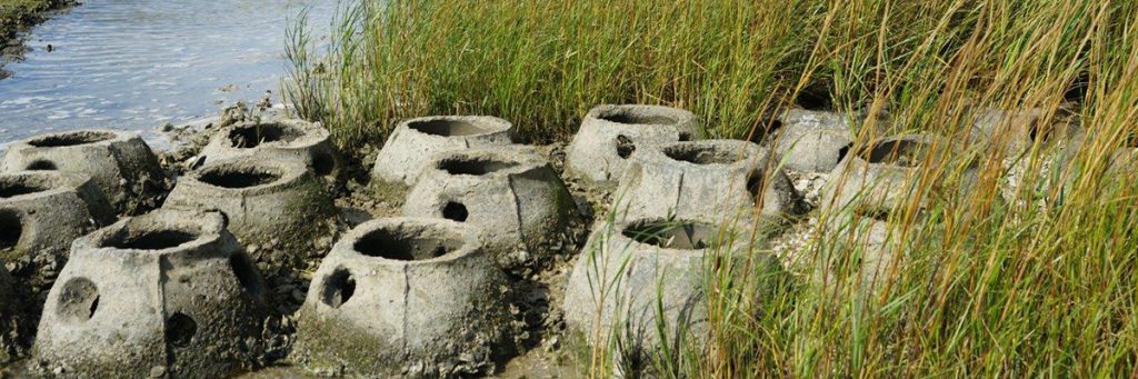 Associa Gulf Coast Helps Restore Tampa Bay Shoreline