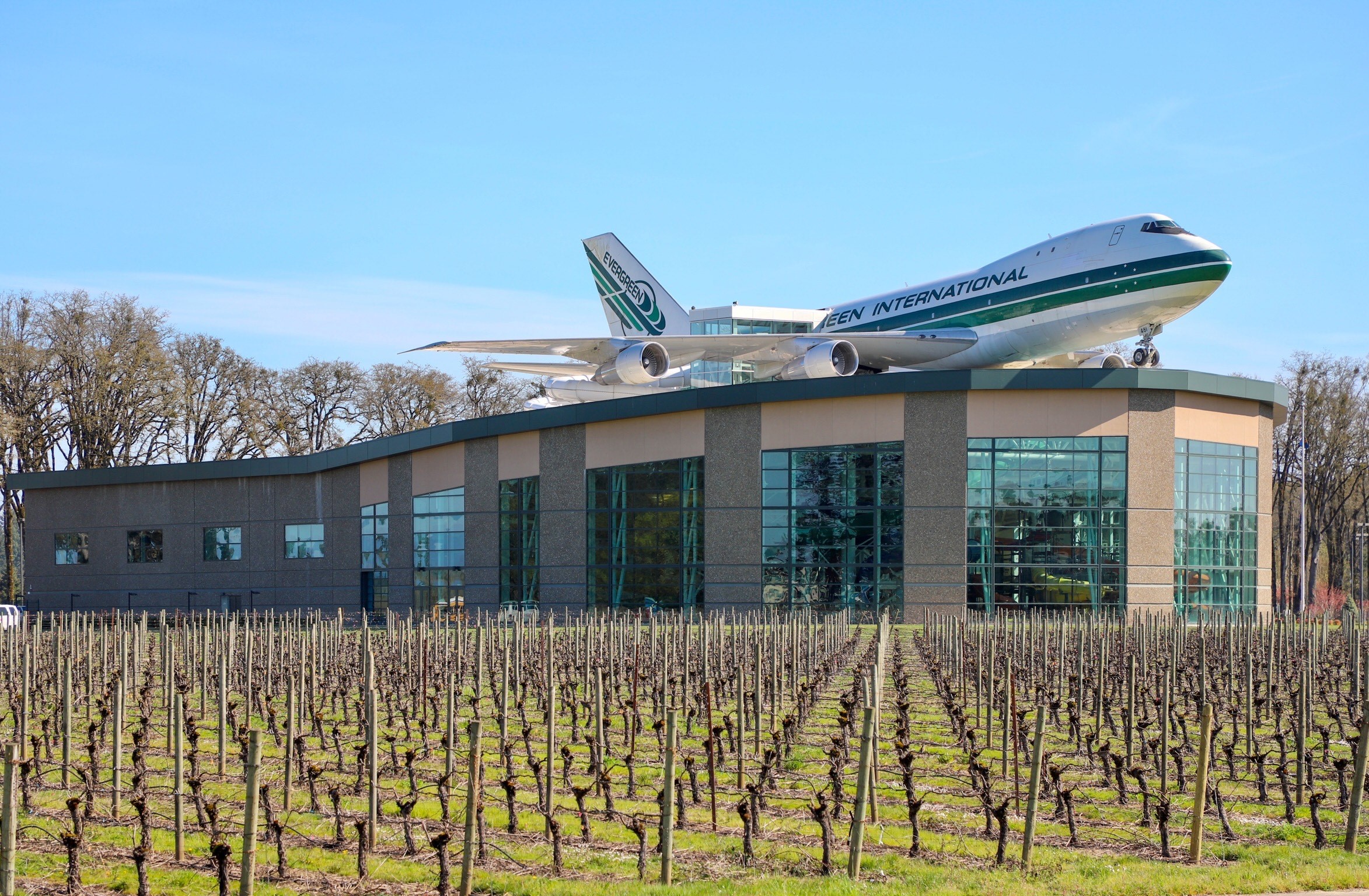 Wings and Waves Waterpark and vineyard.