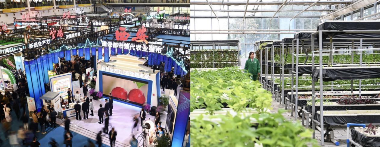Agricultural Hi-Tech Fair to be Held in Northwest China