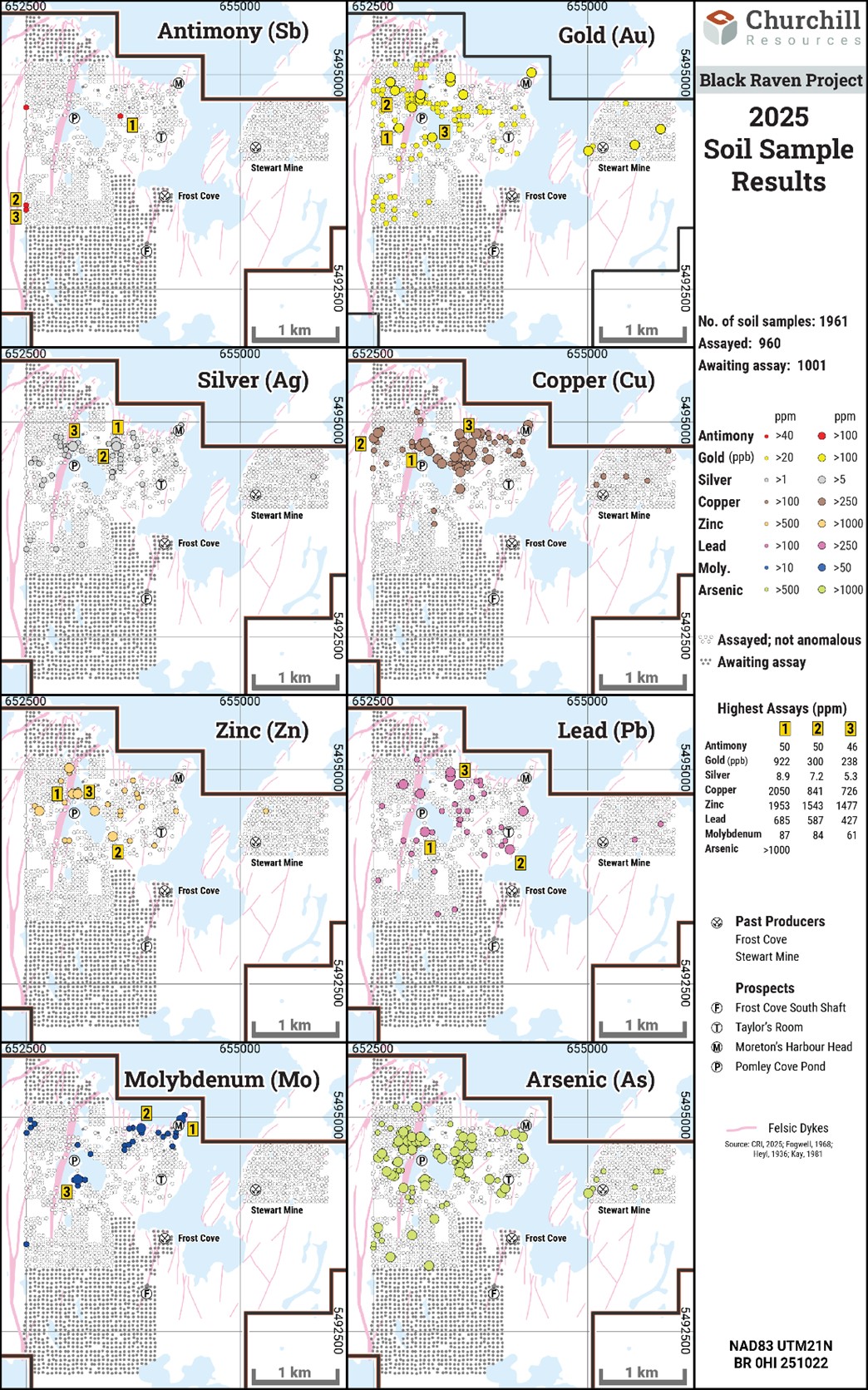 Preliminary 2025 Black Raven Soil Sampling Results