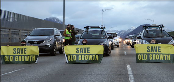 Save Old Growth roadblock