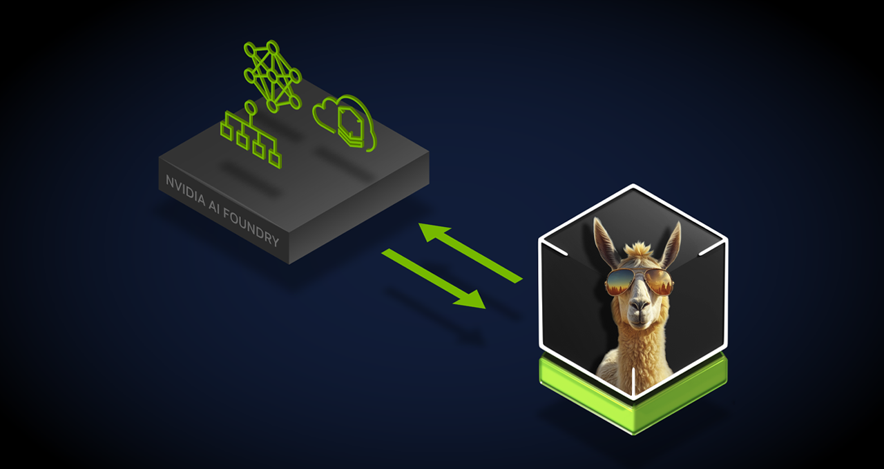 NVIDIA AI Foundry - Llama 3.1 