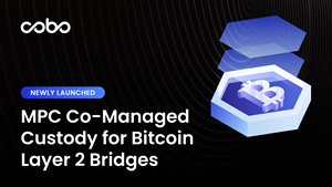 MPC Co-managed Custody for Bitcoin Layer 2 Bridges