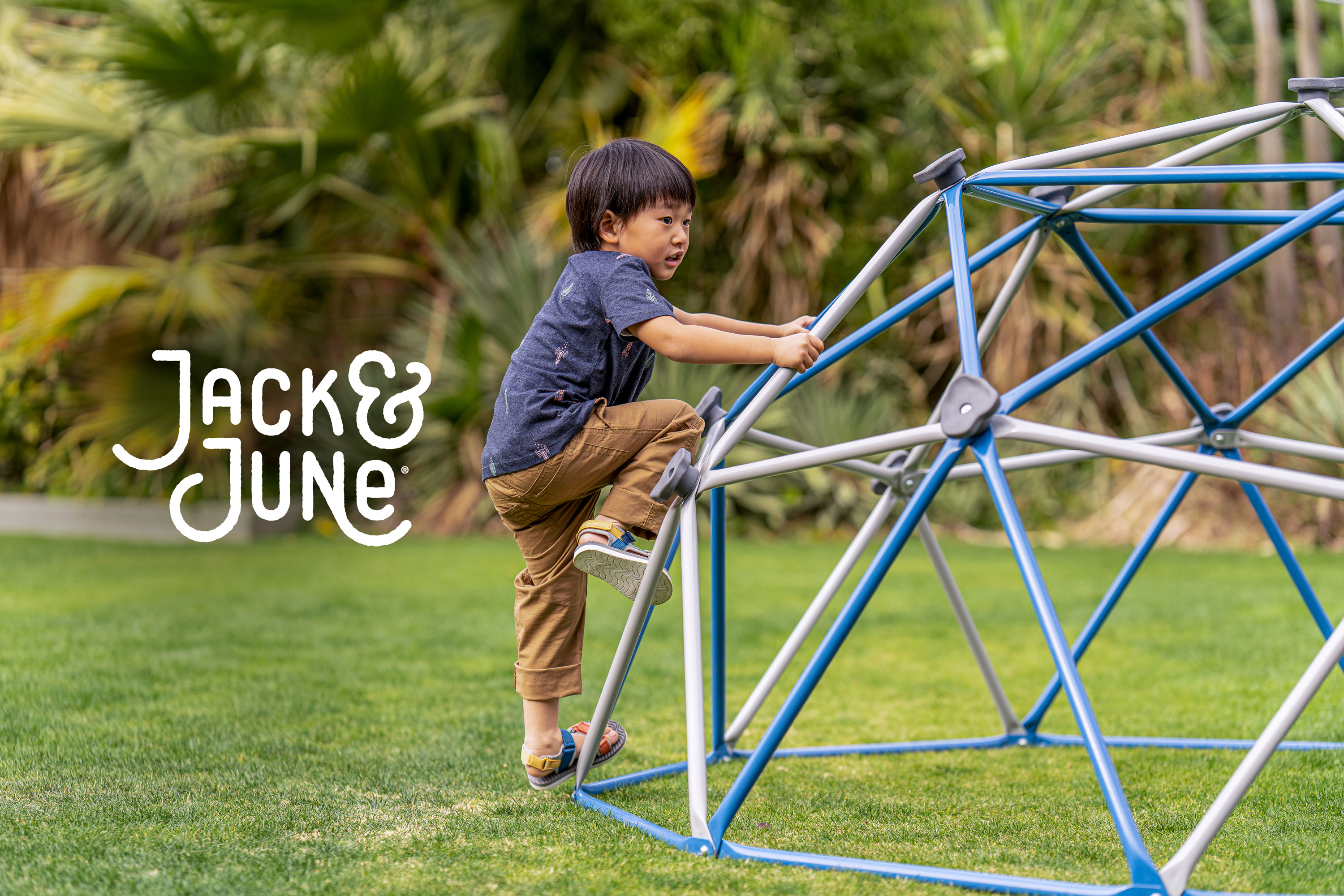 Jack & June Jungle Gym