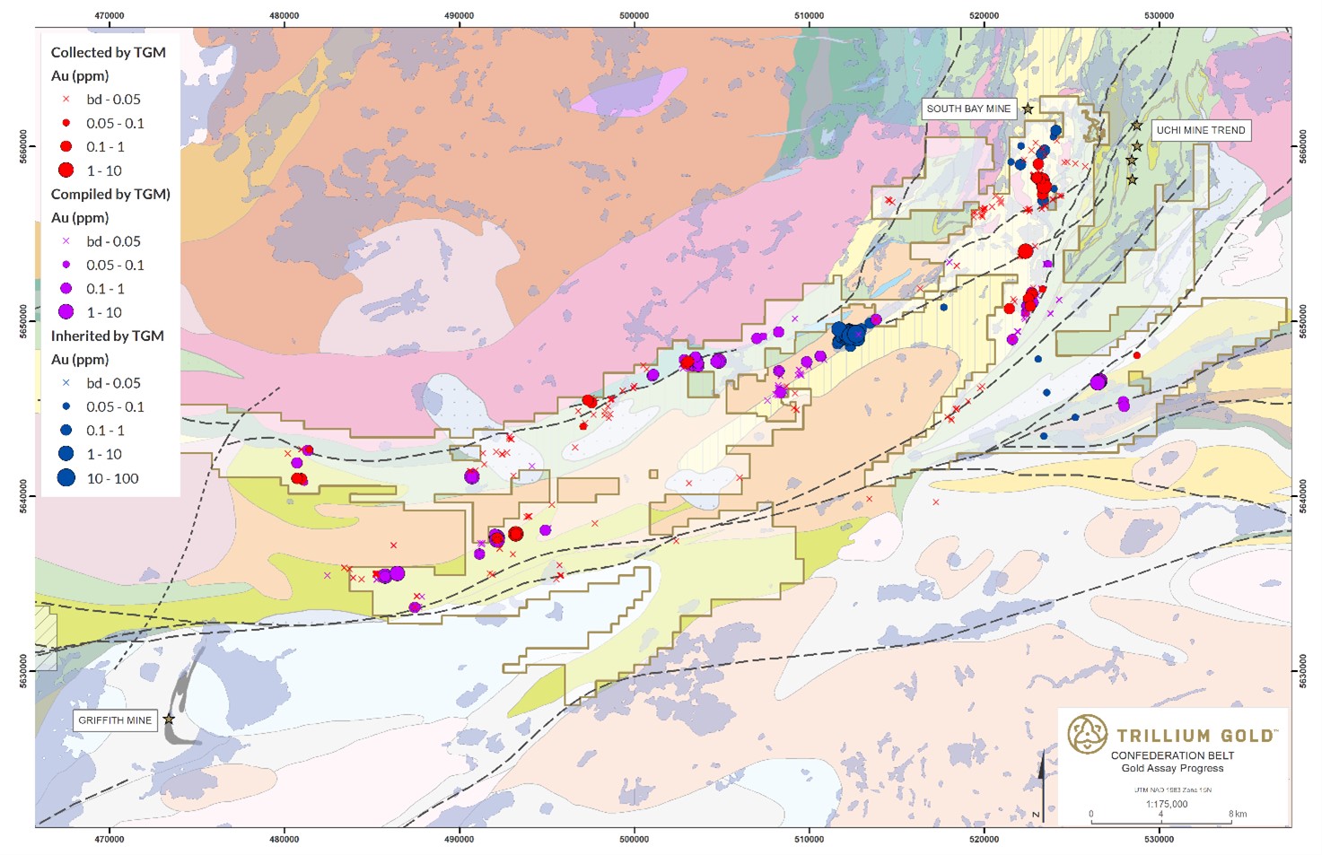 Gold data located in or nearby the Trillium Confederation Belt properties. Coloured data points are to compare source data: Blue represents information when Trillium acquired the project, Purple data points compiled by Trillium from assessment reports and drill logs, Red from Trillium acquired field data, including new sampling of historical core.