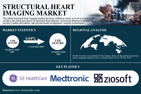 Structural Heart Imaging Market