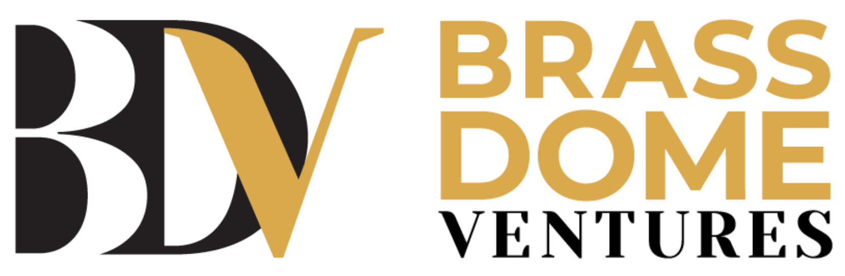 BDV+Logo.png