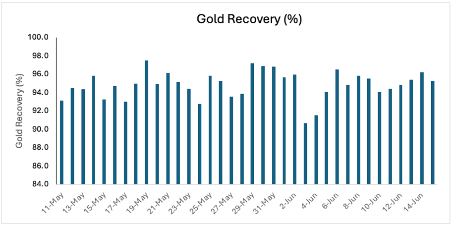 Figure 3. Average daily gold recovery in the mill from May 11th to June 15th. 