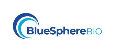 BlueSphereLogo.jpg